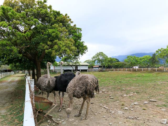 池上牧野渡假村