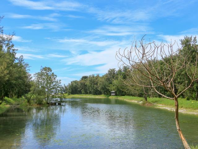 台東森林公園的琵琶湖
